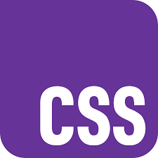 CSS Logo